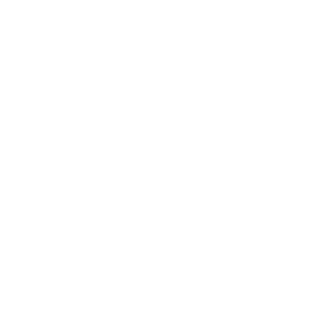 Icon Team